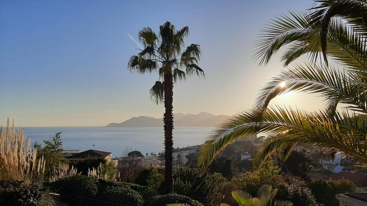 Cannes & More Luaran gambar