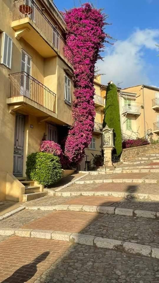 Cannes & More Luaran gambar