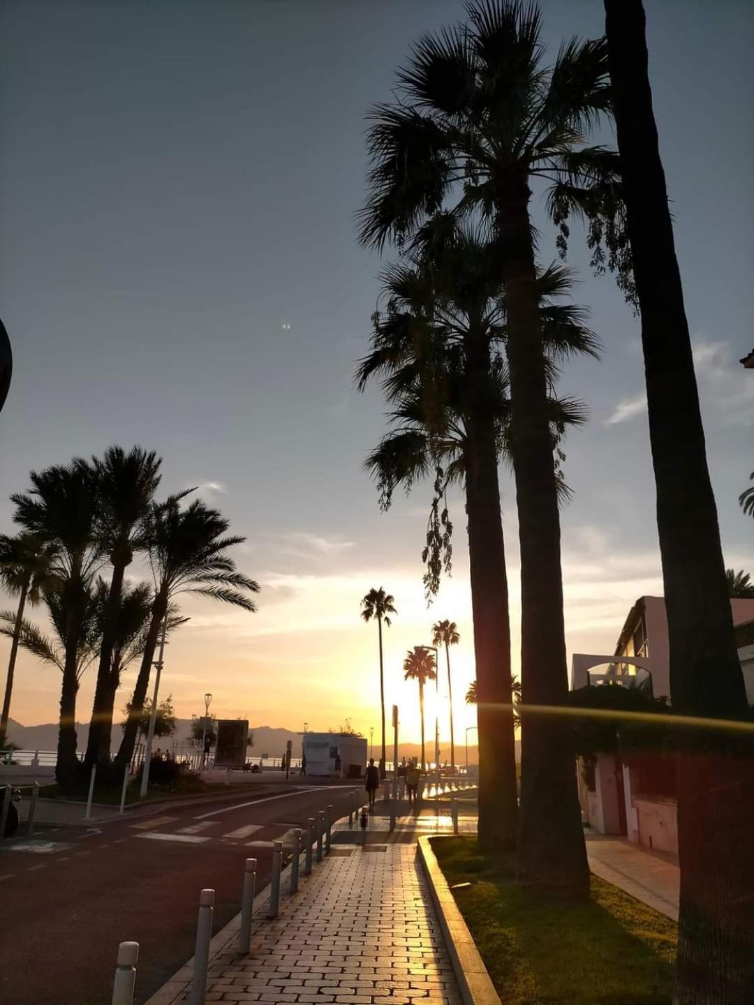 Cannes & More Luaran gambar